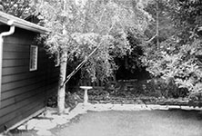 1972 backyard, back left
